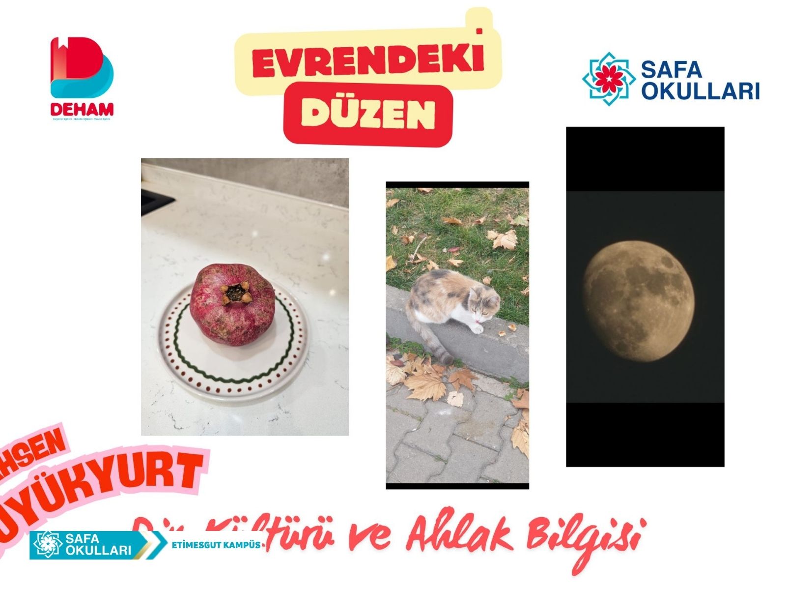 EVRENDEKİ DÜZEN