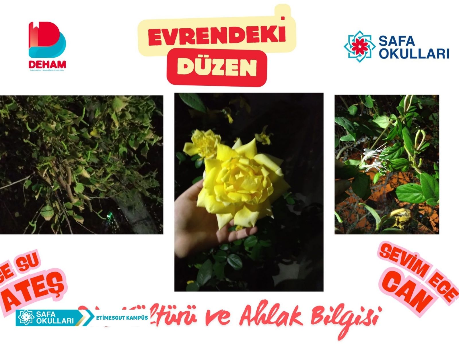 EVRENDEKİ DÜZEN
