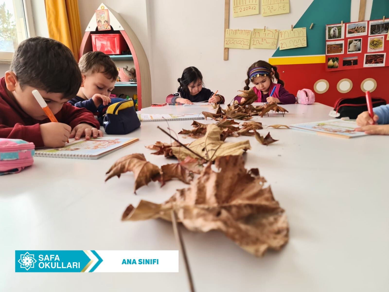 SANAT VE RENK