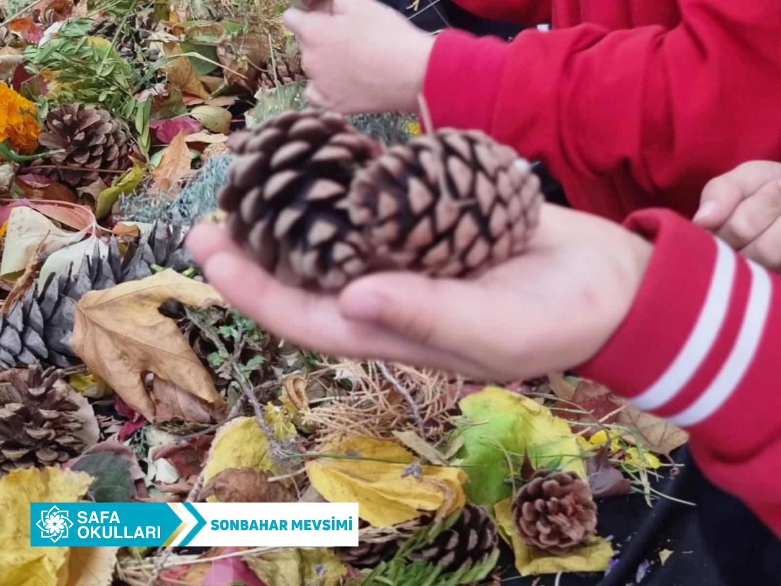 SONBAHAR MEVSİMİ