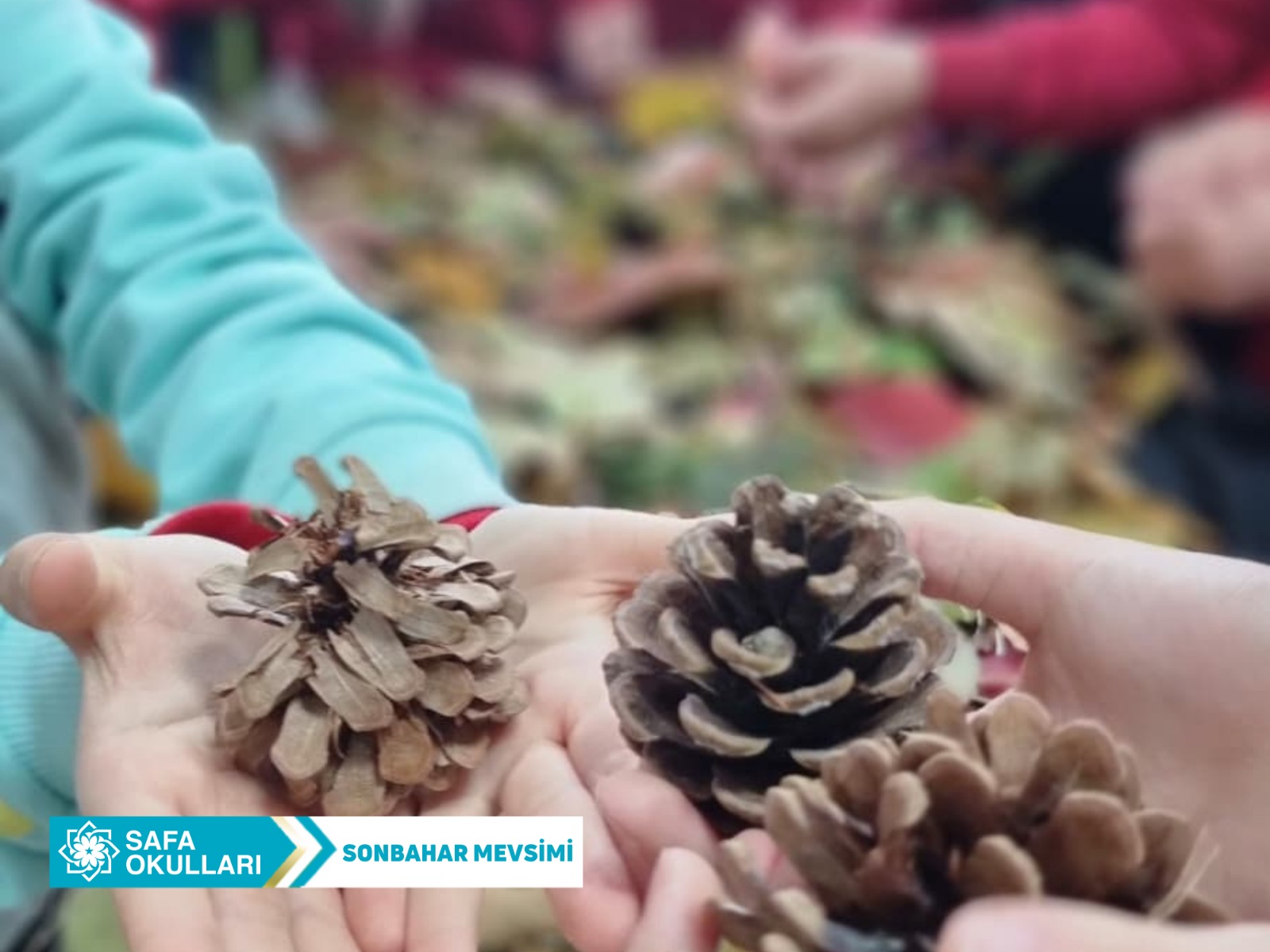 SONBAHAR MEVSİMİ