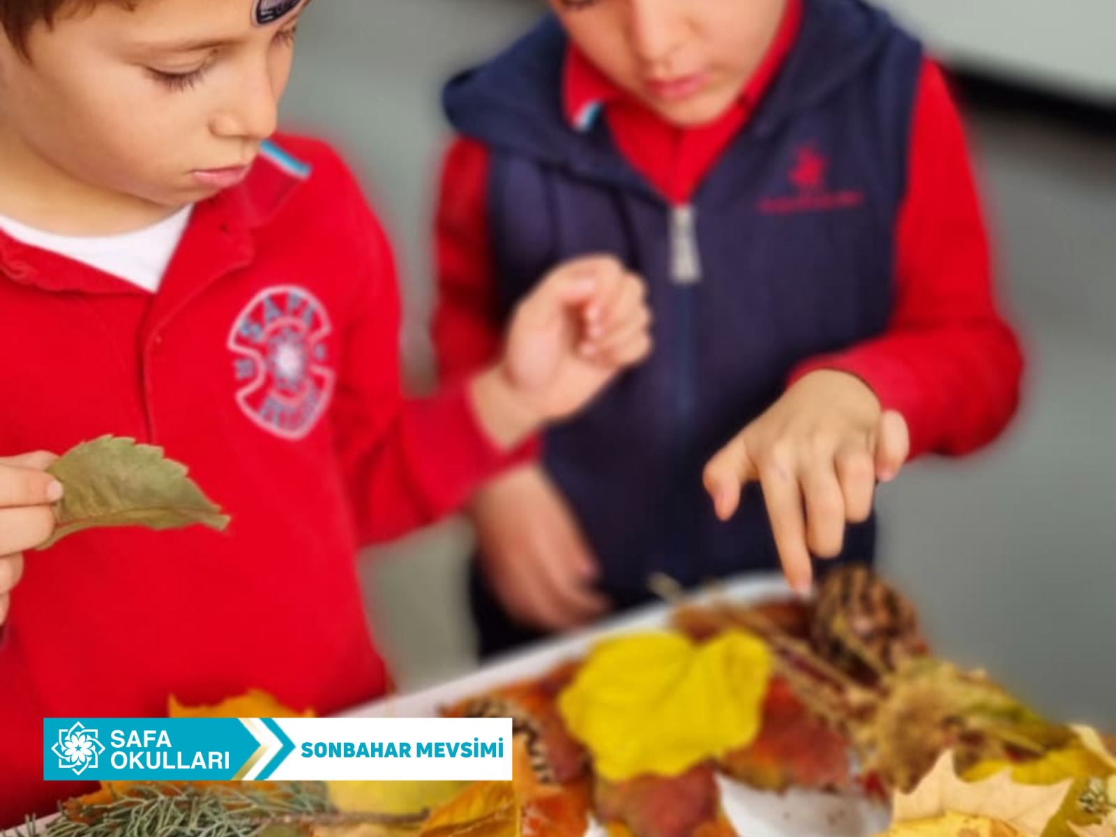 SONBAHAR MEVSİMİ